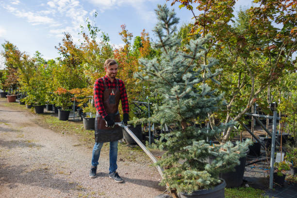 Dallas Center, IA Tree Services Company